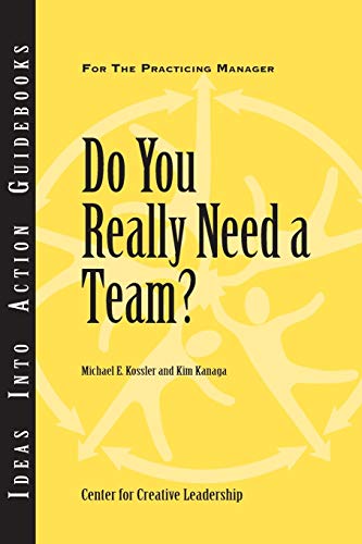 Stock image for Do You Really Need a Team? for sale by Wonder Book