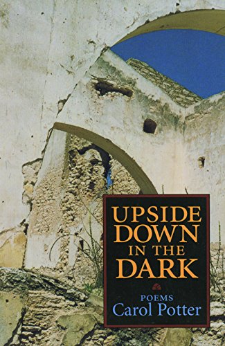 Imagen de archivo de Upside Down in the Dark Format: Paperback a la venta por INDOO