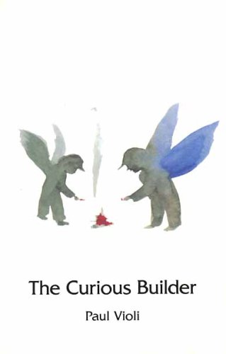 Stock image for The Curious Builder for sale by HPB-Diamond