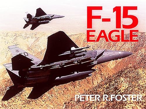Imagen de archivo de F-15 Eagle in Color a la venta por Newsboy Books