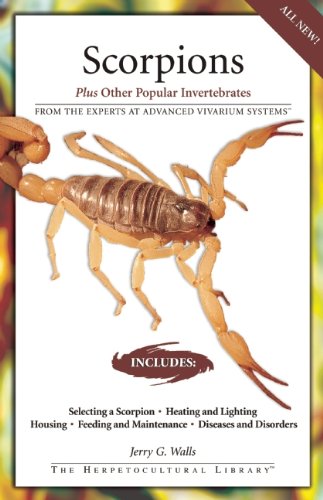 Imagen de archivo de Scorpions: Plus Other Popular Invertebrates (Herpetocultural Library, The) a la venta por Half Price Books Inc.