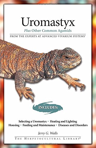 Imagen de archivo de Uromastyx : Plus Other Common Agamids a la venta por Better World Books: West