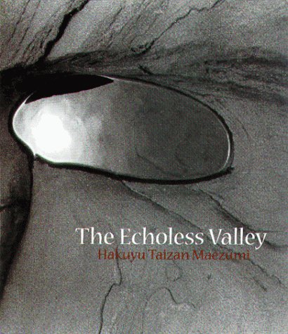 Beispielbild fr The Echoless Valley zum Verkauf von WorldofBooks