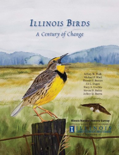 Imagen de archivo de Illinois Birds A Century of Change a la venta por GoodwillNI