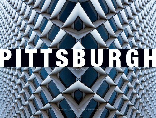 Stock image for Pittsburgh: Smart City for sale by Mr. Bookman