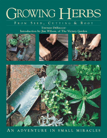 9781883010782: Growing Herbs from Seed, Cutting, and Root: An Adventure in Small Miracles