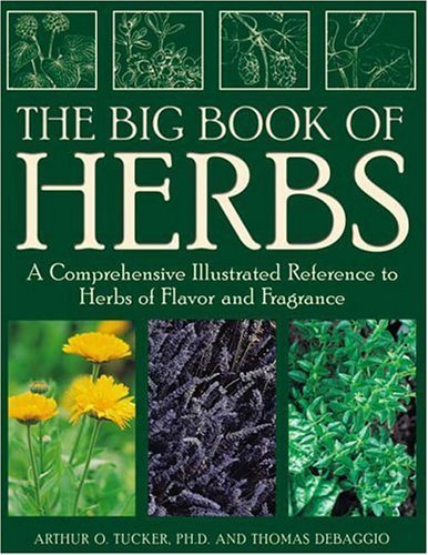 9781883010867: The Big Book of Herbs: A Comprehensive Illustrated Reference to Herbs of Flavor and Fragrance