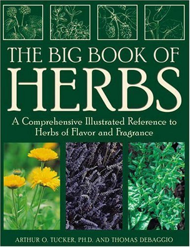 Stock image for The Big Book of Herbs: A Comprehensive Illustrated Reference to Herbs of Flavor and Fragrance for sale by ThriftBooks-Dallas