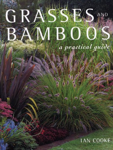 9781883052492: Grasses and Bamboos: A Practical Guide
