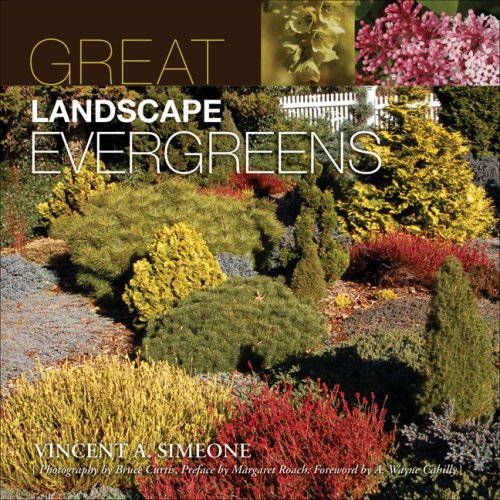 Stock image for Great Landscape Evergreens for sale by Books of the Smoky Mountains