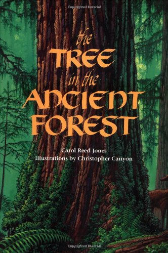 Stock image for The Tree in the Ancient Forest for sale by Your Online Bookstore