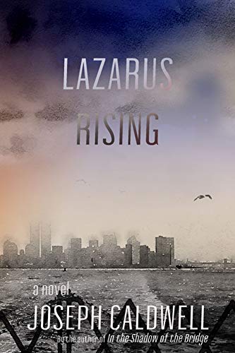 Imagen de archivo de Lazarus Rising: A Novel a la venta por Open Books