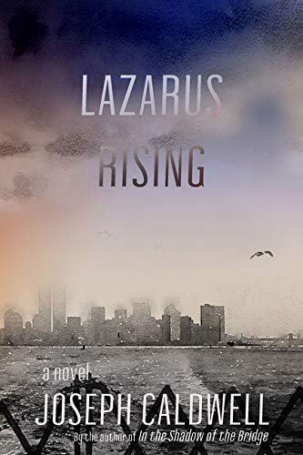 Stock image for Lazarus Rising: A Novel for sale by Open Books