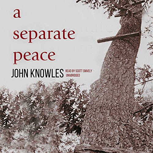 9781883332761: A Separate Peace Lib/E