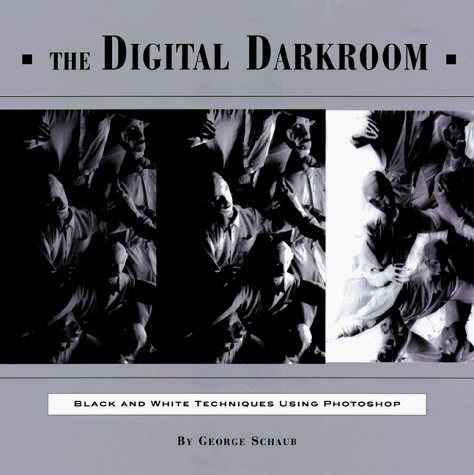 Beispielbild fr The Digital Darkroom: Black and White Techniques Using Photoshop zum Verkauf von Wonder Book