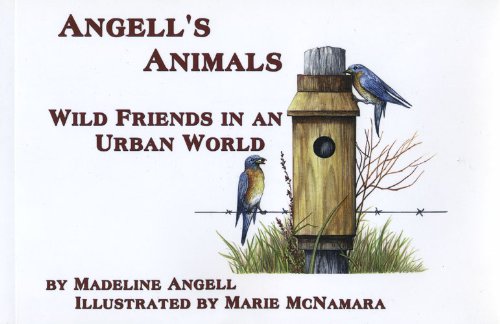 9781883477455: Angell's Animals : Wild Friends In An Urban World