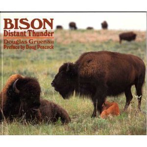 Stock image for Bison: Distant Thunder for sale by Eric James