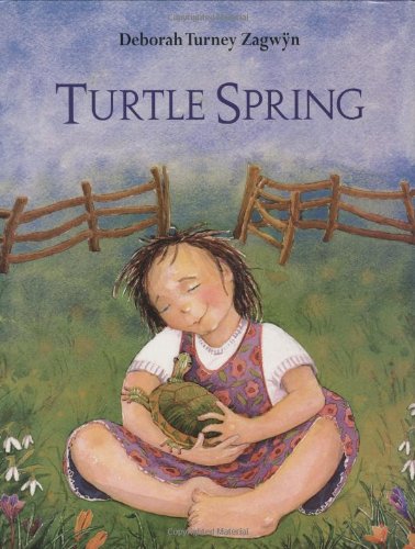 Stock image for Turtle Spring for sale by Better World Books: West