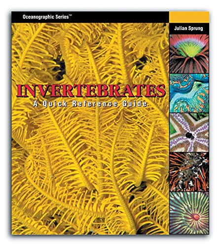 Stock image for Invertebrates: A Quick Reference Guide (Oceanographic Series) for sale by ZBK Books