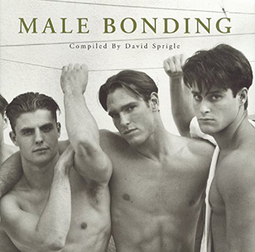 9781883923150: Male Bonding (Fotofactory Anthology Series Book 1)