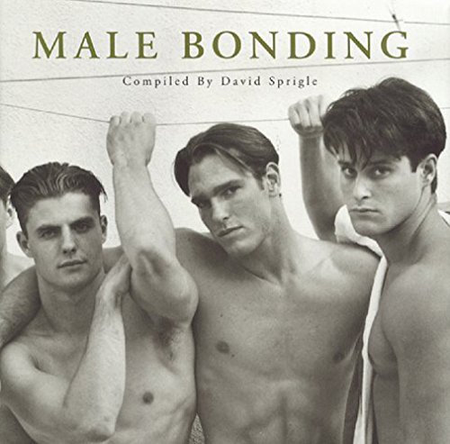 Stock image for Male Bonding (Fotofactory Anthology Series Book 1) for sale by Front Cover Books