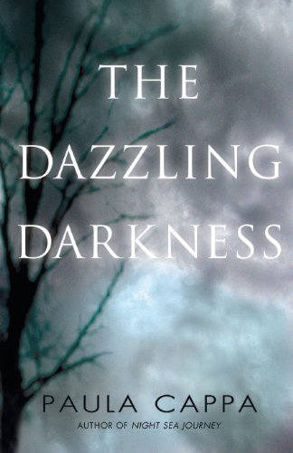 9781883953614: The Dazzling Darkness