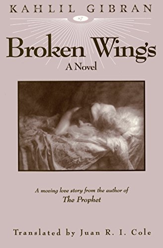 Beispielbild fr Broken Wings zum Verkauf von Better World Books