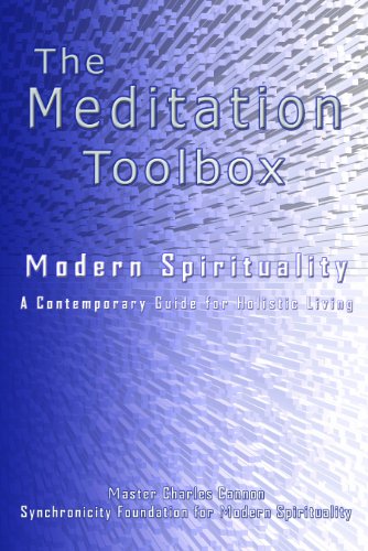 Imagen de archivo de The Meditation Toolbox Modern Spirituality A contemporary Guide for Holistic Living a la venta por Goodwill of Colorado