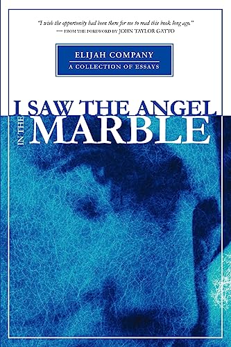Stock image for I Saw the Angel in the Marble for sale by Ergodebooks