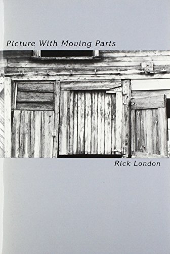 Stock image for Picture with Moving Parts for sale by The Second Reader Bookshop