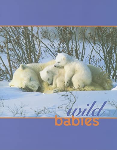 Imagen de archivo de Wild Babies a la venta por Revaluation Books
