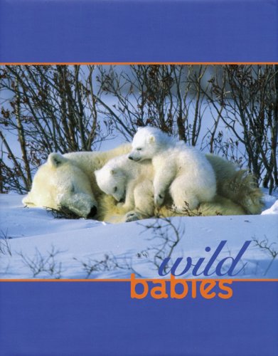 Stock image for Wild Babies for sale by HPB-Ruby