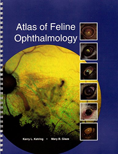 9781884254130: Atlas of Feline Ophthalmology