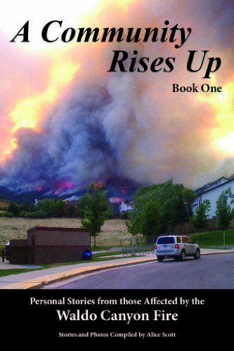 Imagen de archivo de A Community Rises Up: More Personal Stories from those Affected by the Waldo Canyon Fire a la venta por ThriftBooks-Dallas