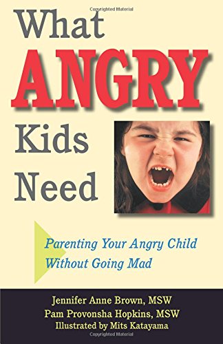 Stock image for What Angry Kids Need: Parenting Your Angry Child Without Going Mad for sale by SecondSale