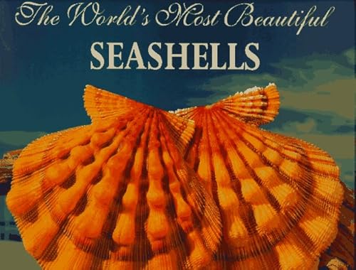 Stock image for The World's Most Beautiful Seashells (Worlds Most Series) for sale by HPB-Emerald