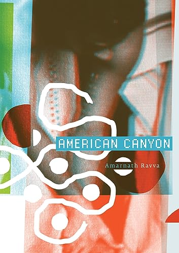 Beispielbild fr American Canyon zum Verkauf von One Planet Books