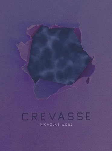 Stock image for Crevasse for sale by GF Books, Inc.