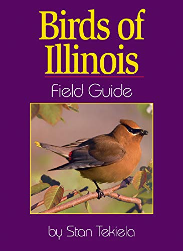 Beispielbild fr Birds of Illinois : Field Guide zum Verkauf von Better World Books