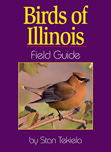 9781885061744: Birds of Illinois Field Guide