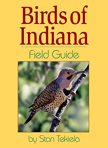 9781885061904: Birds of Indiana Field Guide