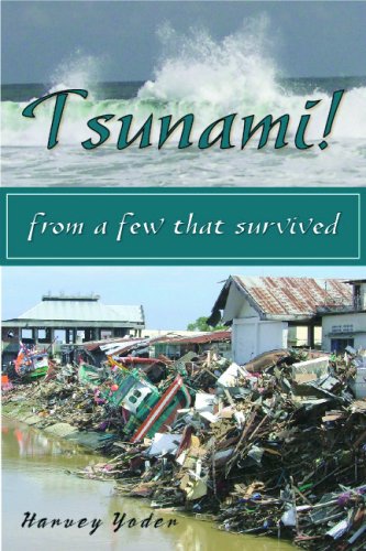 Stock image for Tsunami! from a few that survived for sale by Your Online Bookstore