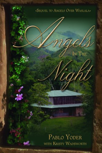 Stock image for Angels in the Night for sale by ThriftBooks-Dallas