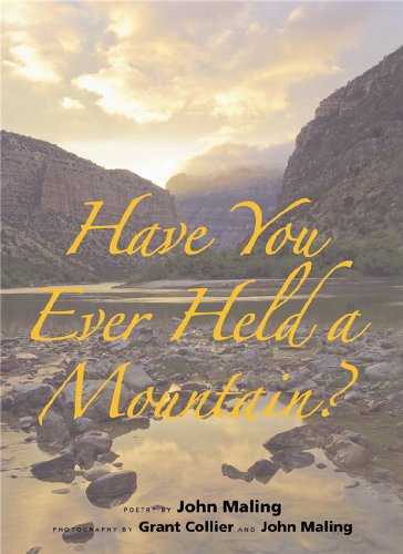 Imagen de archivo de Have You Ever Held a Mountain? a la venta por Michael Patrick McCarty, Bookseller