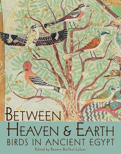 Stock image for Between Heaven and Earth: Birds in Ancient Egypt (Oriental Institute Museum Publications) for sale by Book Deals