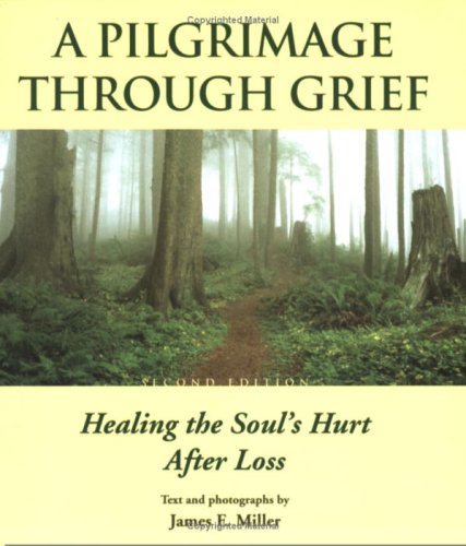 Stock image for A Pilgrimage Through Grief for sale by ThriftBooks-Atlanta