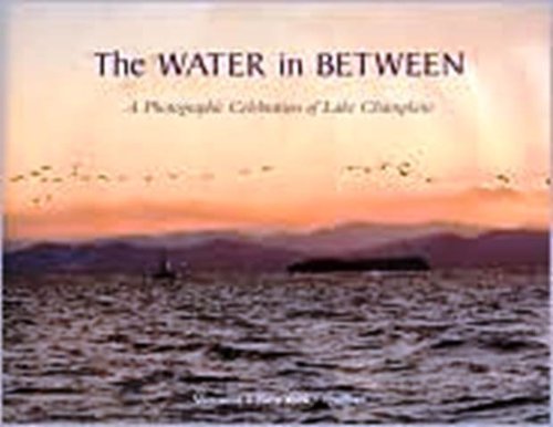 Stock image for The Water in Between for sale by ThriftBooks-Atlanta