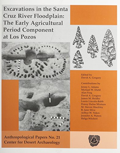 Imagen de archivo de Excavations in the Santa Cruz River Floodplain : The Early Agricultural Component at Los Pozos a la venta por Better World Books: West