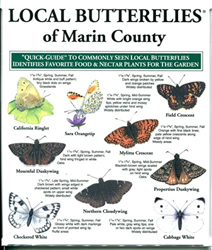 9781886403451: Local Butterflies of Marin County