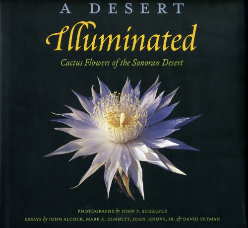 Stock image for A Desert Illuminated: Cactus Flowers of the Sonoran Desert for sale by Books Unplugged